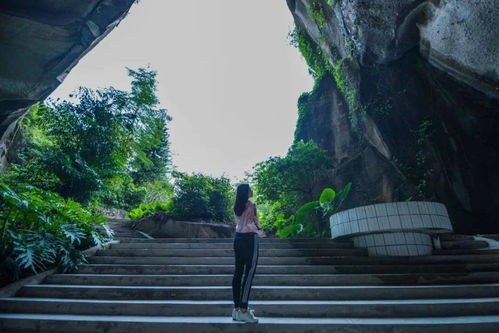 微五旅游攻略，揭秘未知美景，畅游无限风光