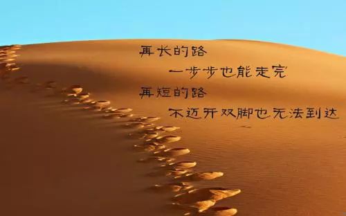 巩丽励志语录，燃烧生命，铸就辉煌人生