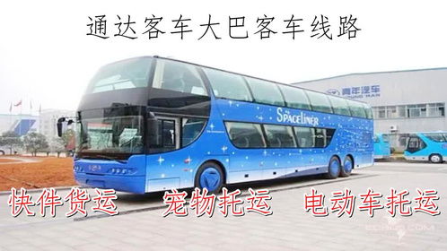 东莞至珠海大巴出行攻略，最新指南来啦！