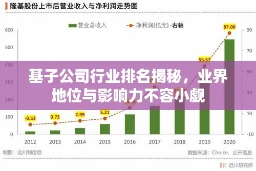 VNK公司行业地位揭秘，卓越排名展现实力
