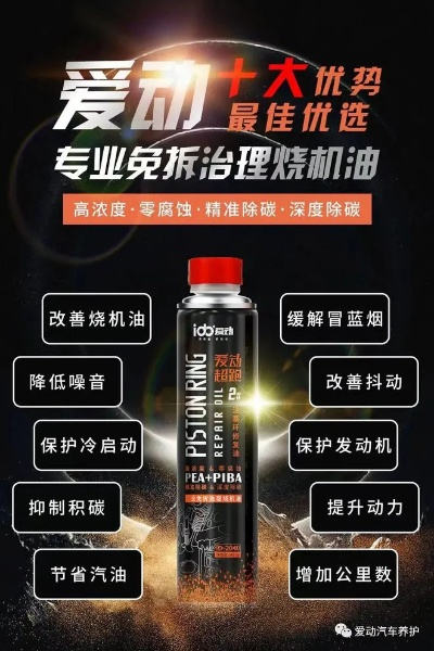 深度解读保养百科，全方位守护你的知识与智慧宝库！