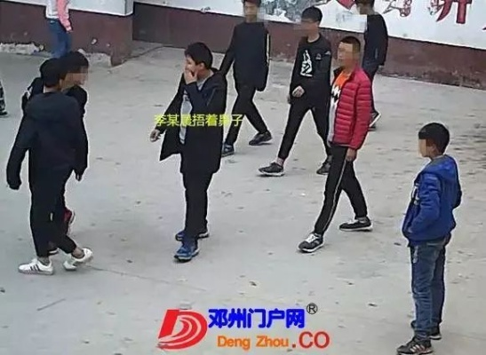 颖川学校斗殴案件最新进展揭秘，处理结果揭晓
