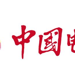 福州电网公司排名及行业地位深度解析