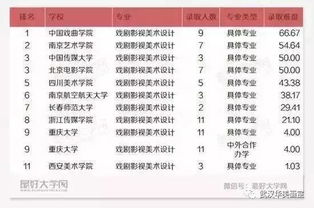 全球影视文学类大学排名揭晓，探索顶尖学府的魅力和实力