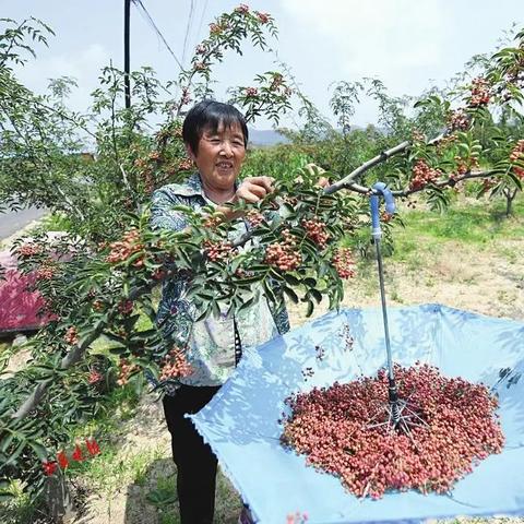 乡宁焦煤最新动态，行业趋势深度解析与市场动态速递