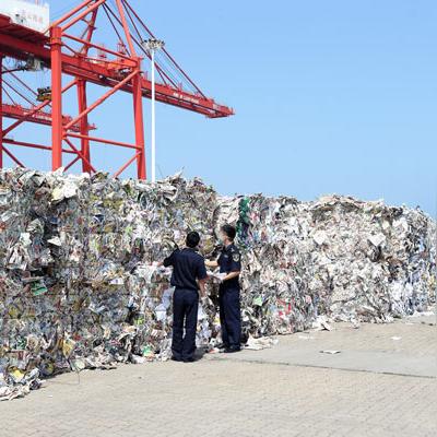废纸价格今日最新动态，市场走势与影响因素深度解析