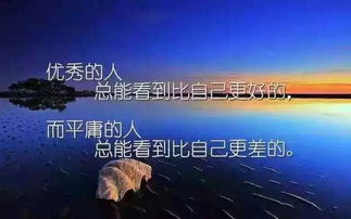 励志与忧伤，语录中的深度思考启示