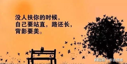励志箴言深度解析，热门语录启示与自我激励之道