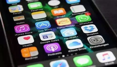 Speedoo iOS新版本，效率与体验革新升级，引领行业新潮流