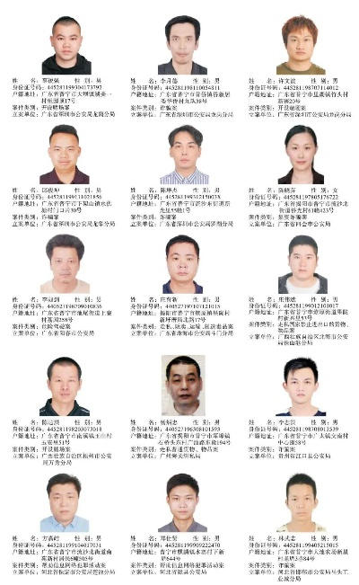 资兴市最新逮捕名单背后的故事，警示社会，引人深思