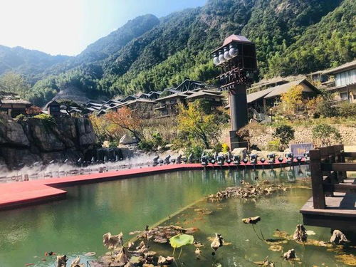 Chia Yi旅游攻略，探索这片土地的绝美风光与独特魅力
