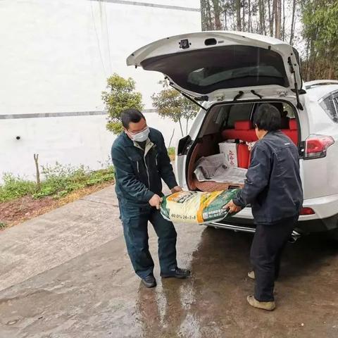 湖北尿素今日价格走势揭秘，最新市场分析与预测