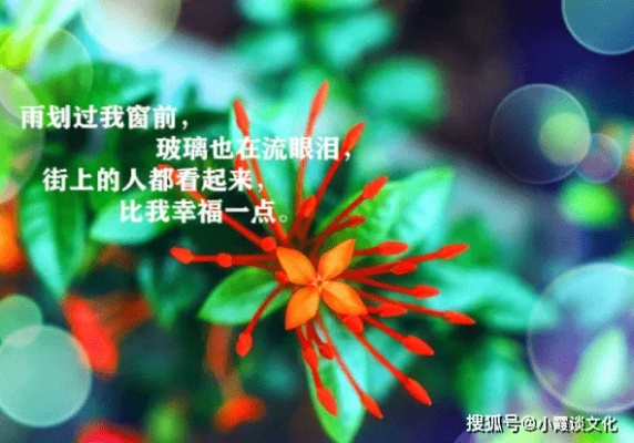 美薇励志语录，生命燃烧，光彩绽放