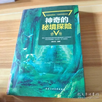 安奇引领未知探索之旅，神秘之旅等你开启！