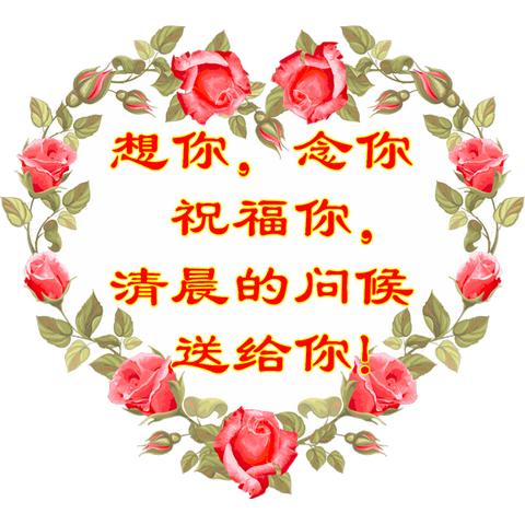 女生早安励志语录，唤醒美好一天，拥抱无限可能！