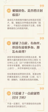 藤县新闻头条微博，捕捉地方新闻的微博力量，实时传递资讯动态