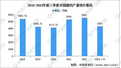 2025年5月8日 第31页