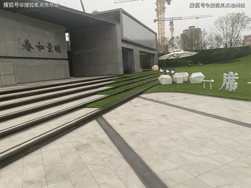 通洲最新新闻动态更新速递