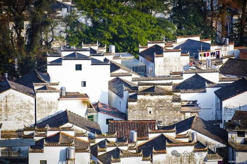 婺源乡村画卷之旅，绝美旅游攻略！
