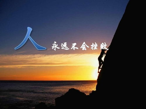 励志之路，老鼠人的奋斗与成长——励志语录精选