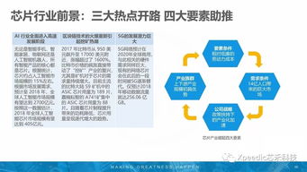 燕山猪价最新动态，市场走势及影响因素深度解析