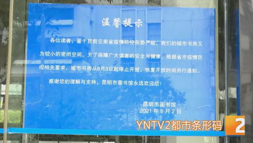 二里村车库盗案揭秘，深度解析与防范建议