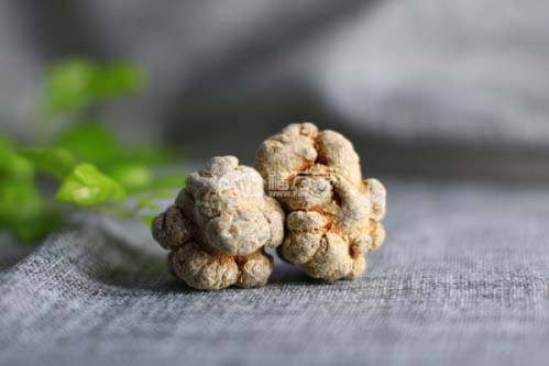 山七药物，宝藏般的用途与价值揭秘