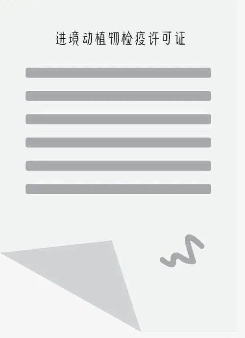 济源关停通知公告解读，最新动态与相关事项全知道