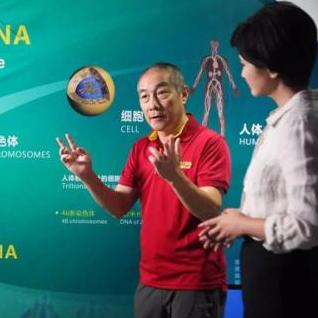 励志钱包寄语，启程财富之旅，追逐梦想之光