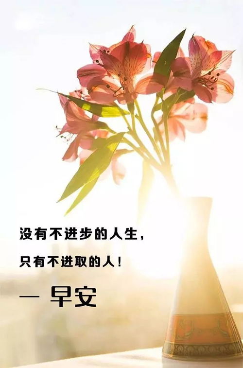 2025年5月24日 第12页