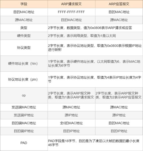 2025年5月25日 第32页
