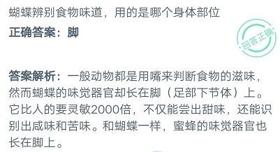 庄园小课堂最新答案大揭秘，今日知识点全攻略