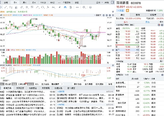 鑫鑫最新股评，市场走势深度解析与投资机会洞察