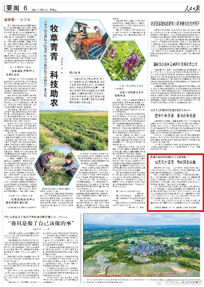 安康农村今日头条新闻深度解读