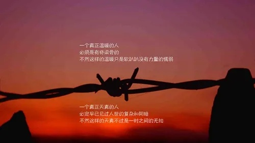 2025年5月26日 第14页