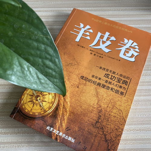 马弟励志语录，人生启示与智慧箴言