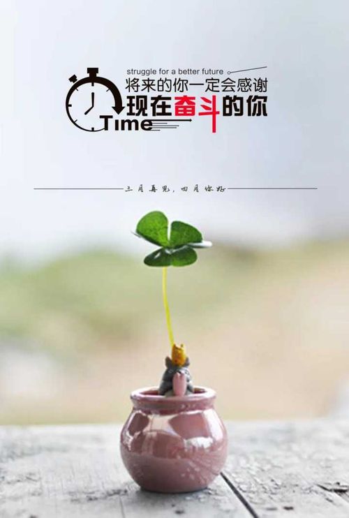 励志小说经典语录推荐，不容错过的读书盛宴