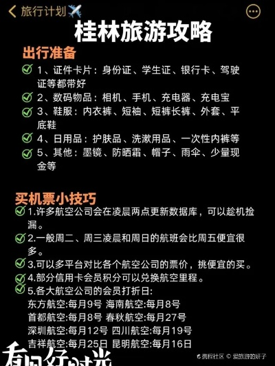 最新旅行乘机攻略大全，助你轻松出行！