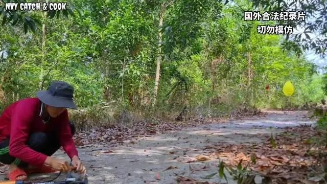 铁蛋儿乡村生活实录，最新视频揭秘真实乡村时光