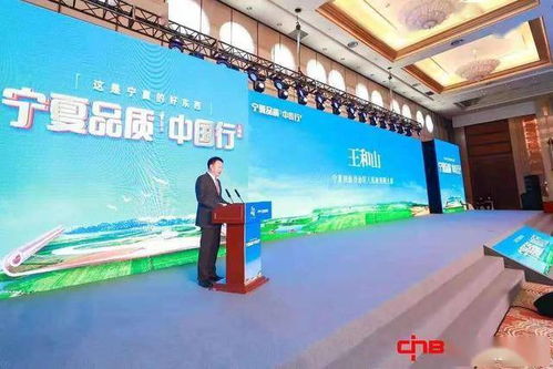 宁夏镜面铝板公司排名大揭秘，探寻行业翘楚，引领市场潮流
