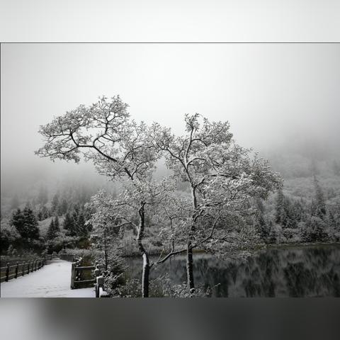 雪域重庆冬季旅游攻略，探索大雪中的魅力之旅！