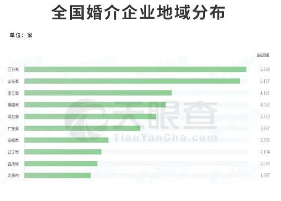 高新区婚恋公司大比拼，排名榜解读，探寻当下婚恋市场热门选择！