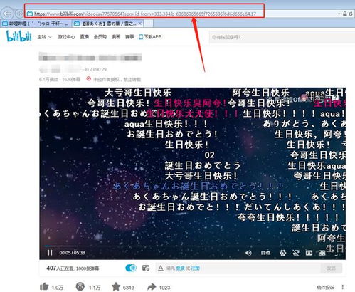 张宏文最新视频解析，今日热点深度透视与最新消息速递
