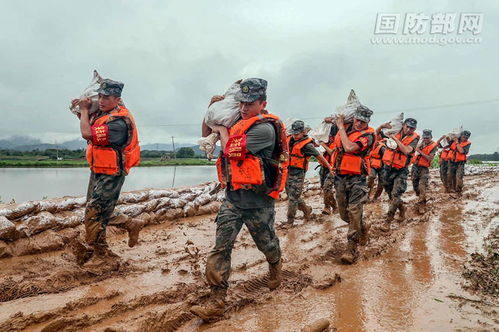 抗洪撤兵实录，视频汇总、最新播放及深度解析