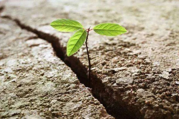 逆境中的力量与希望，遇事后励志语录激励前行