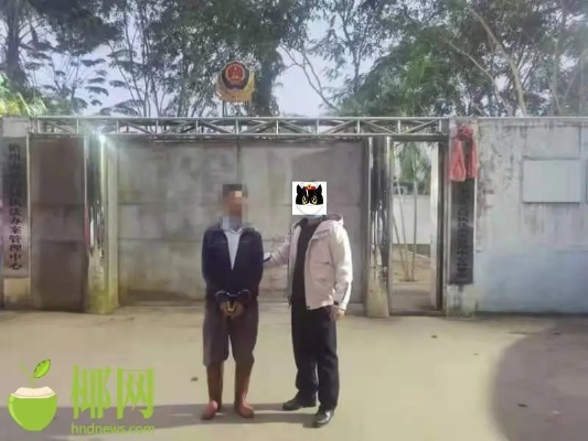 儋州医院案件最新进展揭秘，细节曝光，真相究竟如何？