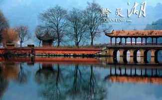 菏泽出发黄山之旅，最新攻略与绝美风光一网打尽