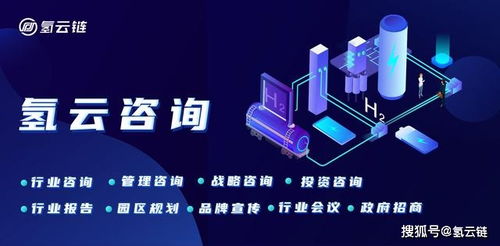 南湾新闻速递，城市新动向与发展热点探索