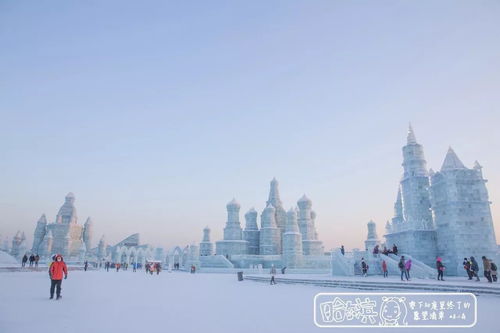 哈尔滨旅游融创攻略，最新指南带你畅游冰城！