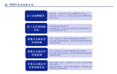 宝海商贸公司行业地位深度解析，排名背后的成功秘诀